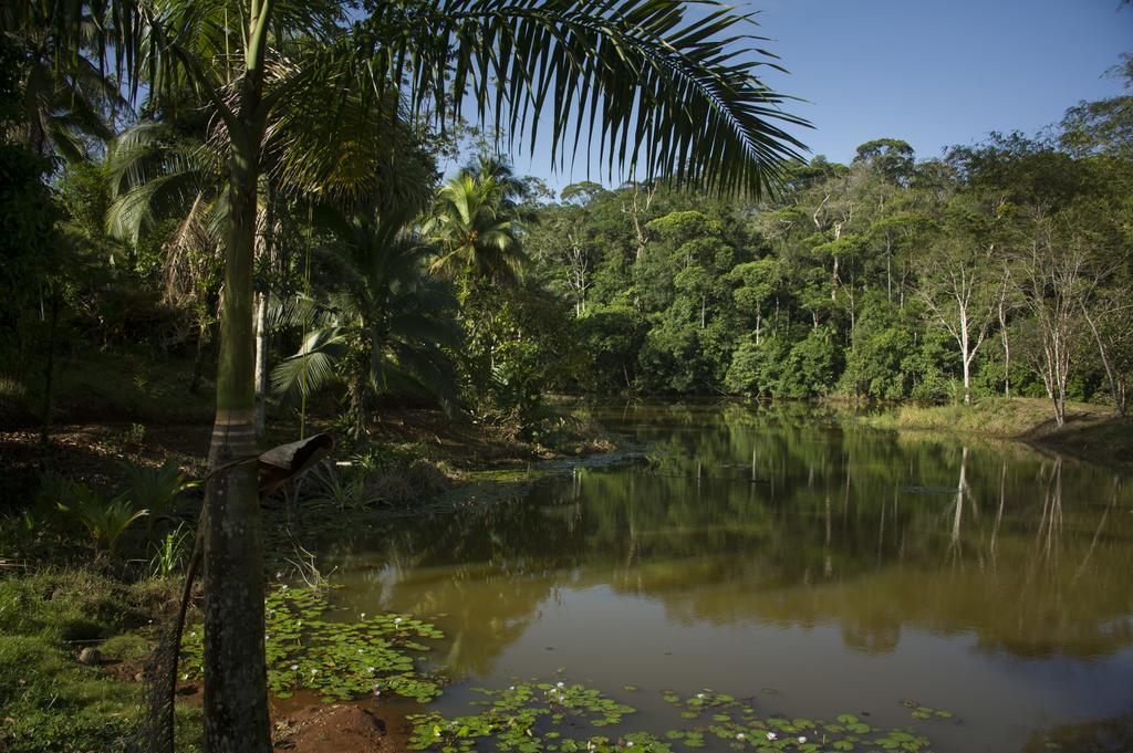 La Laguna Del Lagarto Eco-Lodge Pital  Esterno foto