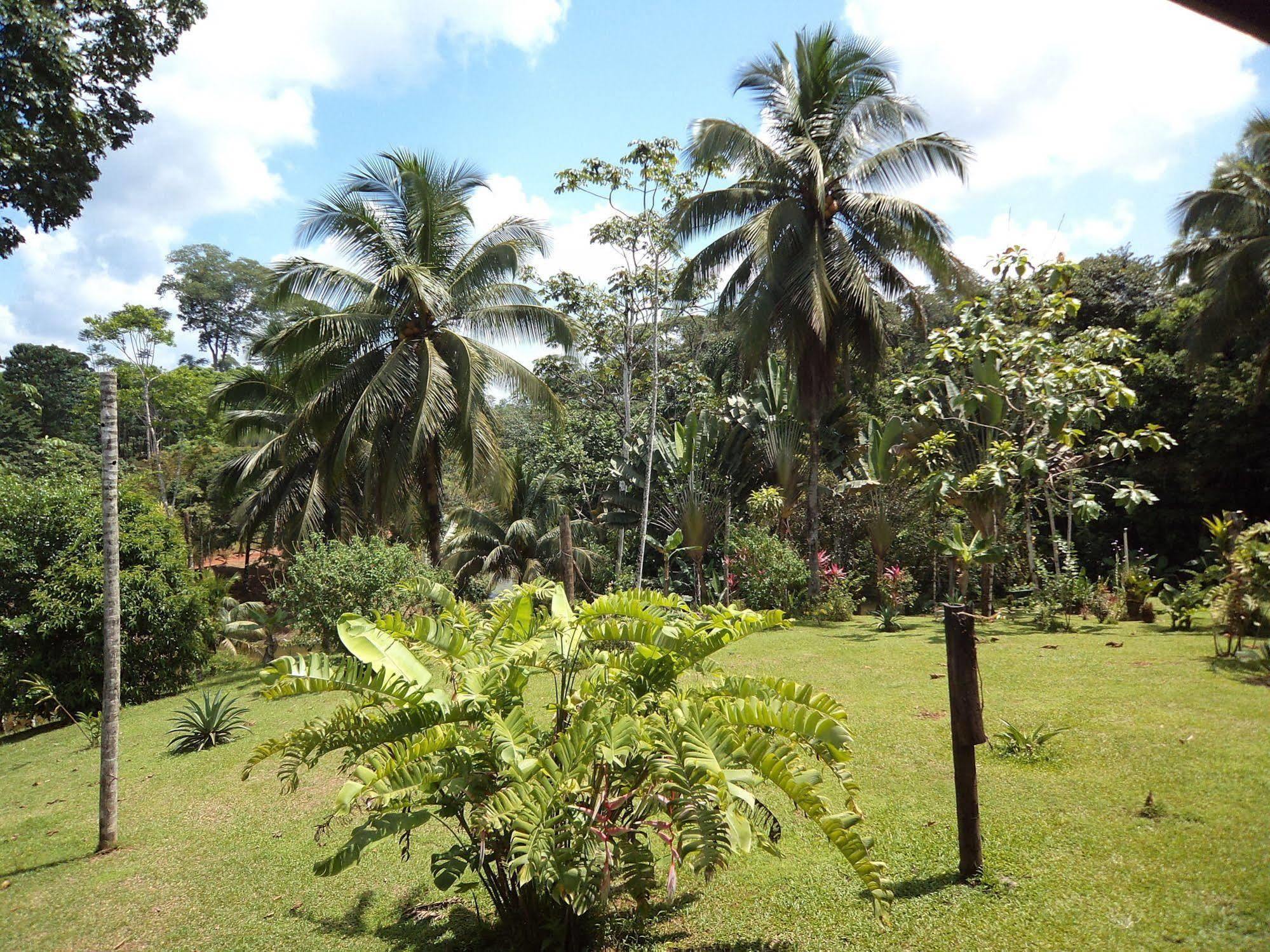 La Laguna Del Lagarto Eco-Lodge Pital  Esterno foto