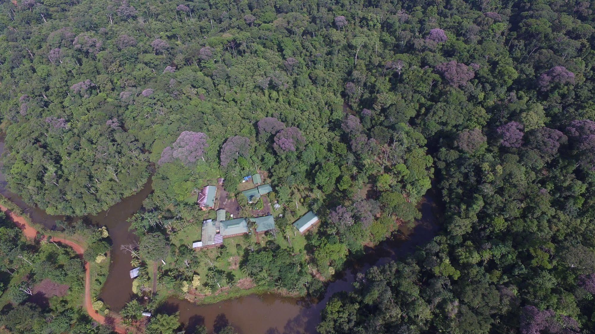 La Laguna Del Lagarto Eco-Lodge Pital  Esterno foto