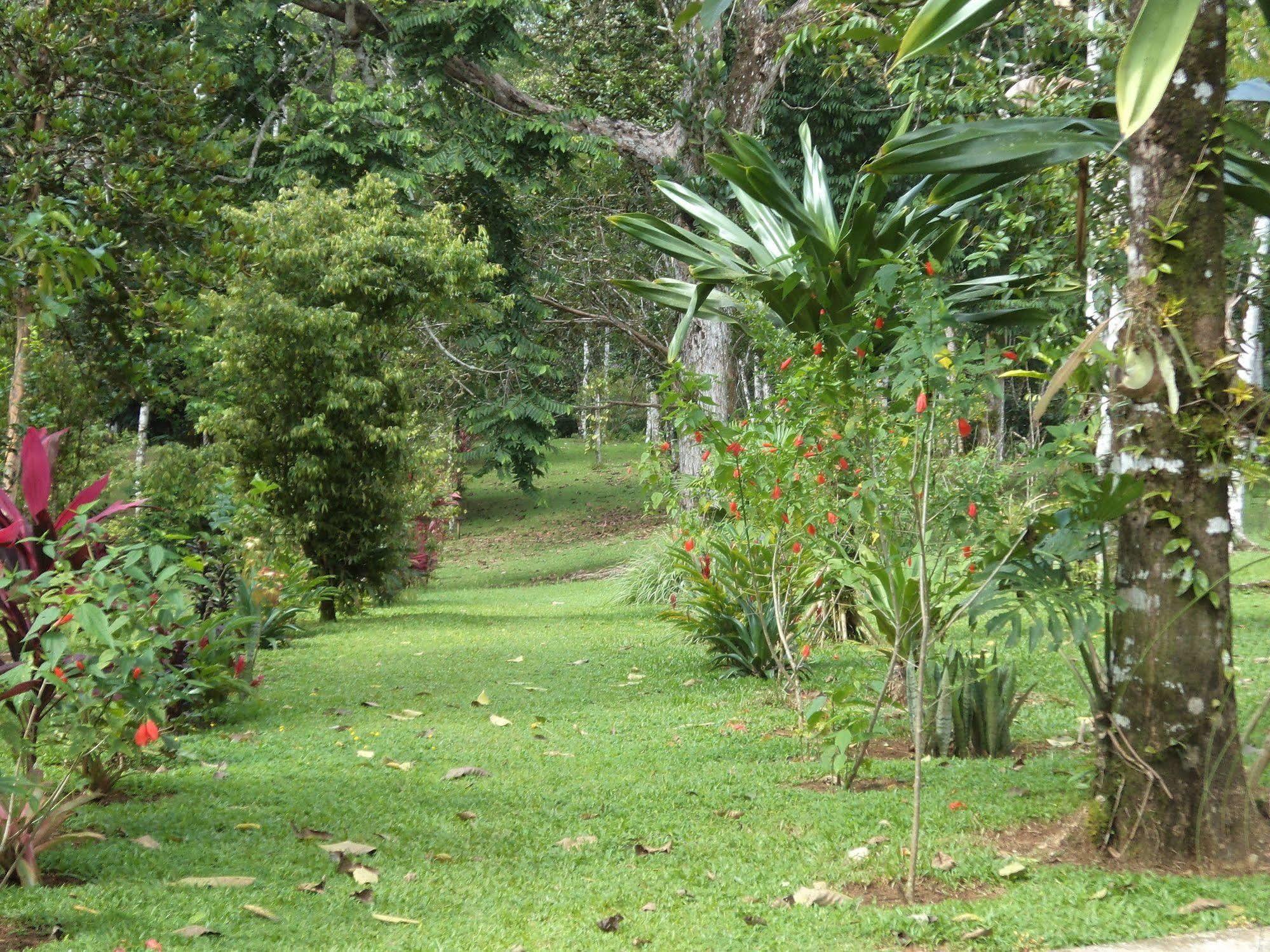 La Laguna Del Lagarto Eco-Lodge Pital  Esterno foto