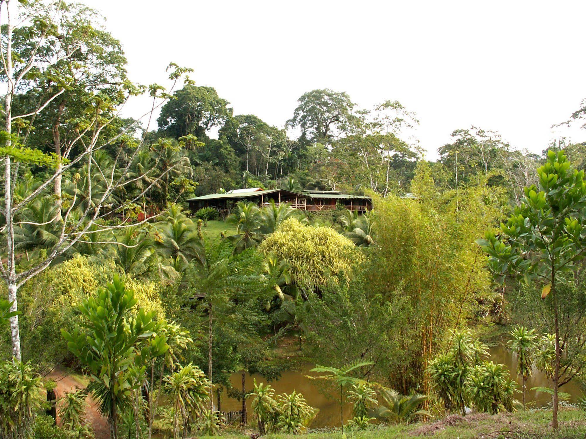 La Laguna Del Lagarto Eco-Lodge Pital  Esterno foto