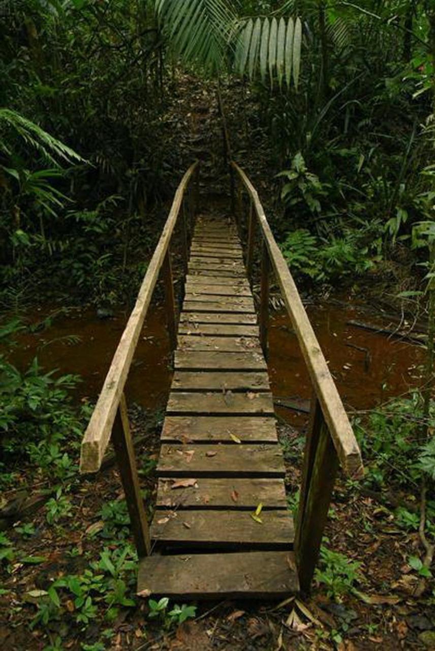 La Laguna Del Lagarto Eco-Lodge Pital  Esterno foto